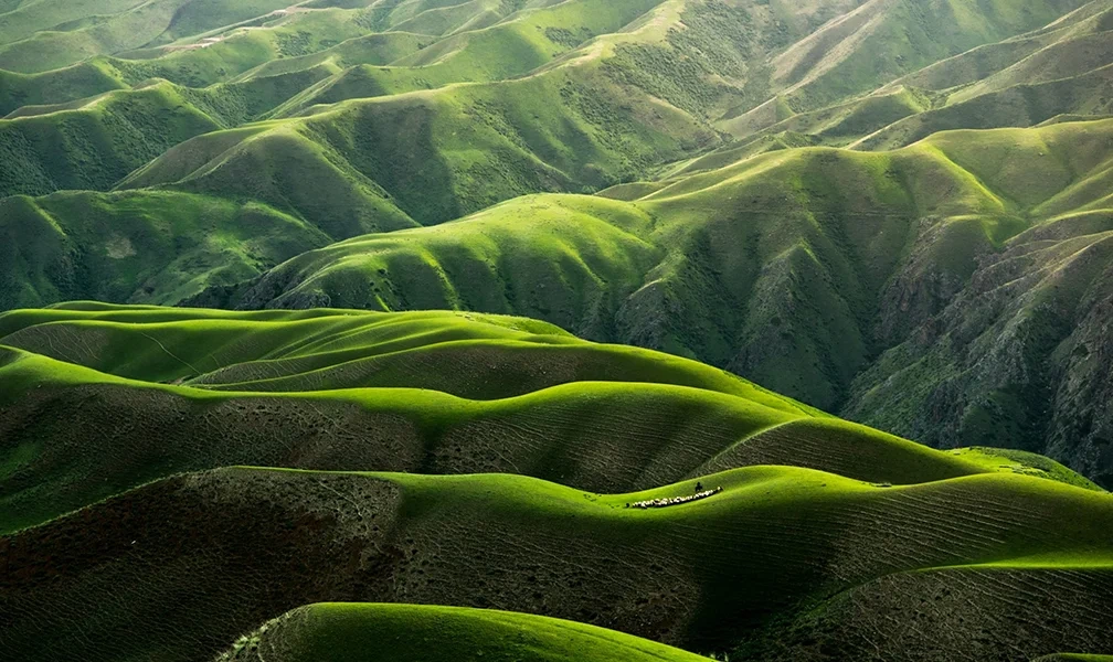 Kashmir